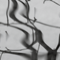 Da war Licht oder etwas Ähnliches wie Licht